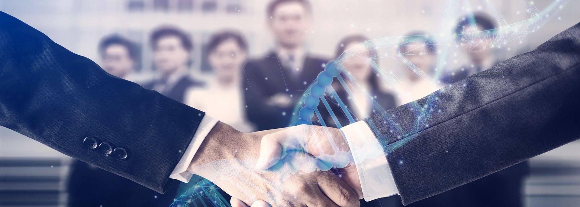 开云·官方网站页面登录入口-开云online(中国)